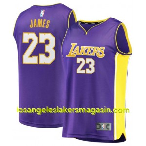 Los Angeles Lakers Lebron James uniformes violet 17-18