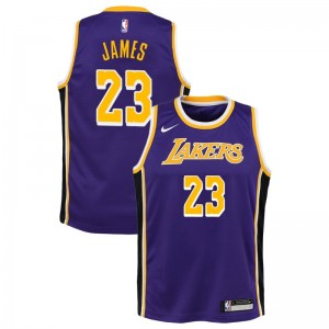 Los Angeles Lakers Jeunes Lebron James ^ 23 Déclaration Purple Jersey