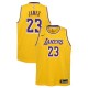 Los Angeles Lakers Jeunes Lebron James ^ 23 Edition Icône Jersey d'or
