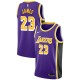 Los Angeles Lakers Masculin LeBron James ^ 23 Déclaration Purple Jersey