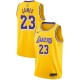 Los Angeles Lakers Homme LeBron James ^ Icône 23 Jersey d'or