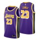 Hommes Los Angeles Lakers ^ 23 Lebron James Déclaration Purple Swingman Jersey