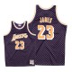 Maillot Mitchell & Ness Lakers de Los Angeles ^ 23 LeBron James en damier - Violet